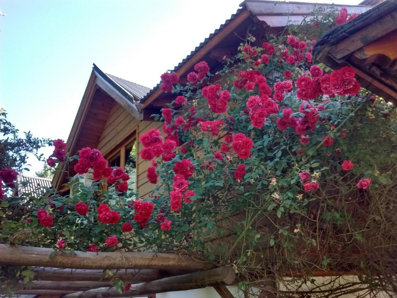 Cabanas Temporada San Martín de los Andes Esterno foto